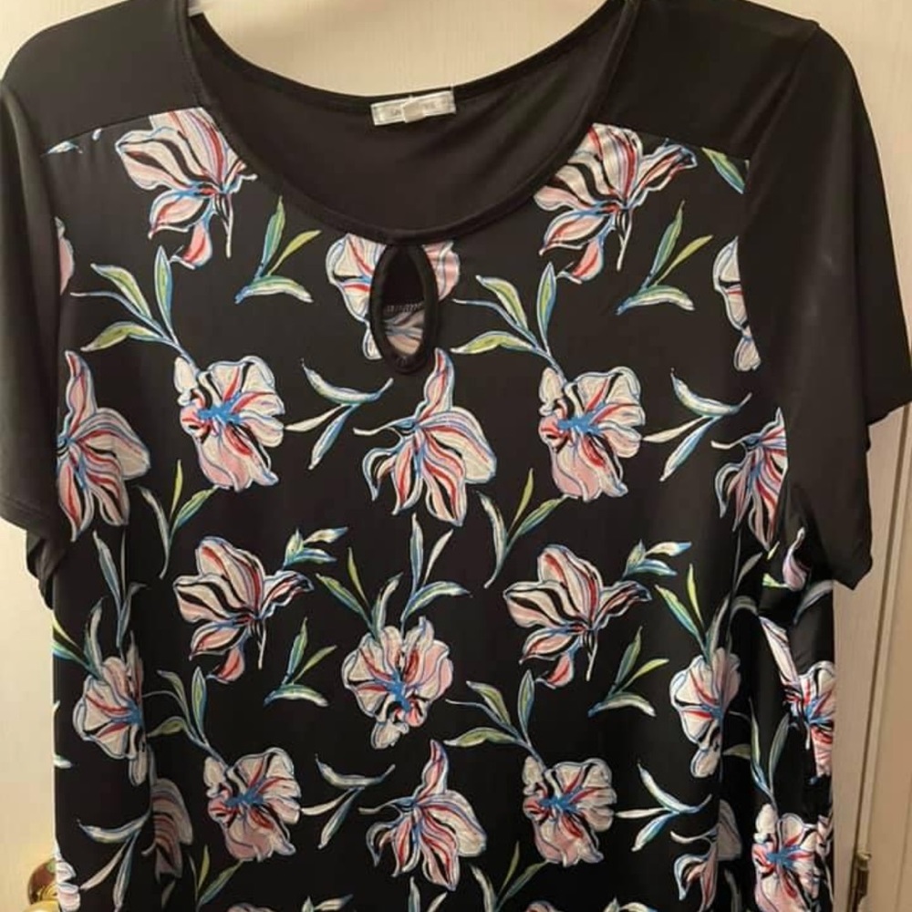 Ladies 2x blouse